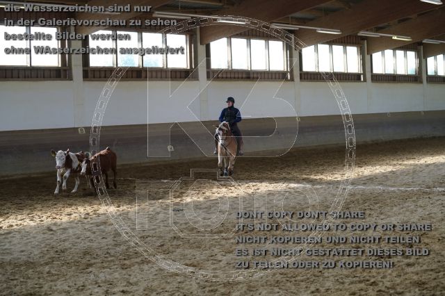 a_K3F02301.JPG